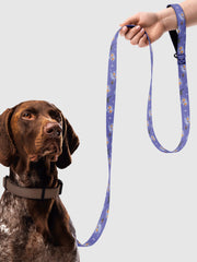KPop Demon Hunters Derpy Tiger and Sussie Magpie Pet Leash