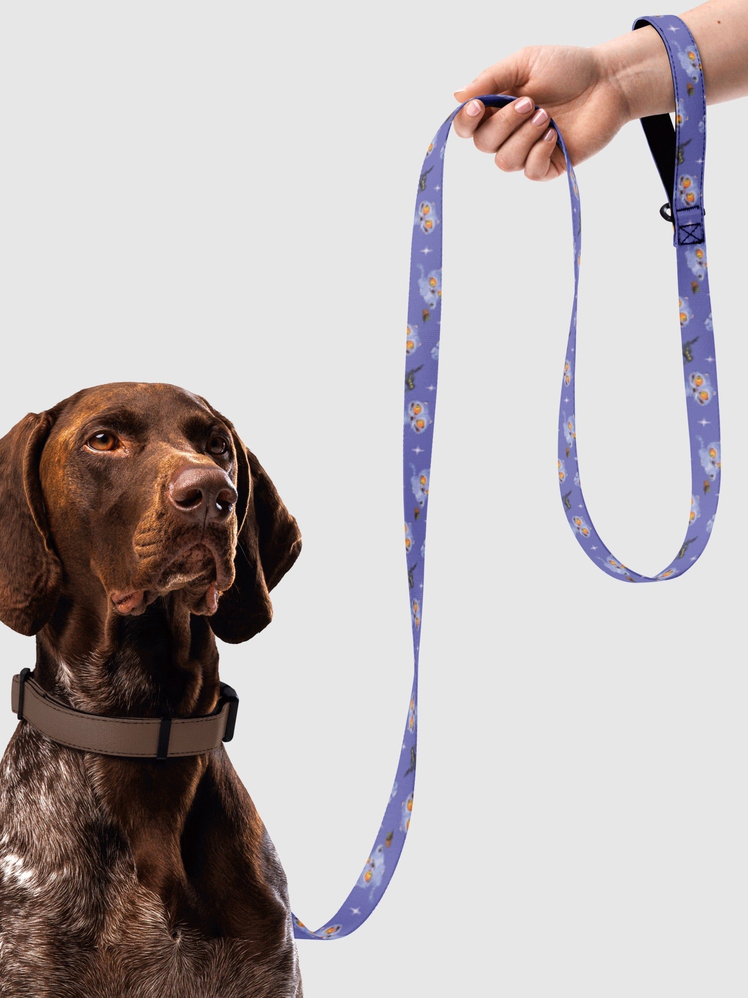 KPop Demon Hunters Derpy Tiger and Sussie Magpie Pet Leash